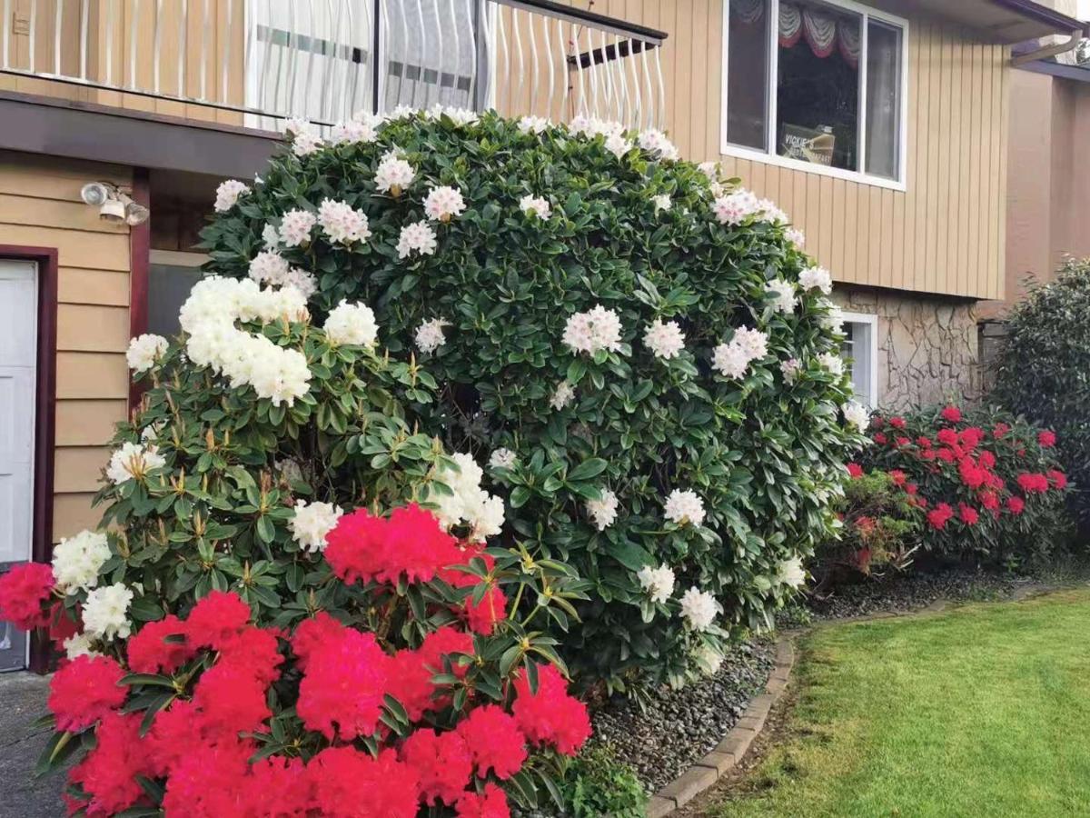 YVR Vickie’s Bed&Breakfast Richmond Exterior foto